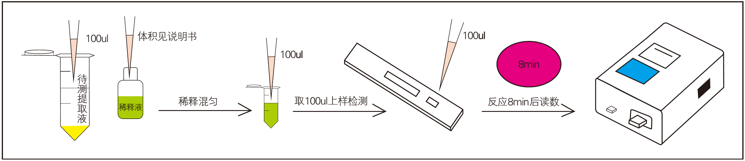 真菌毒素快速檢測(cè)過程