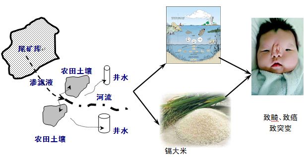 重金屬危害