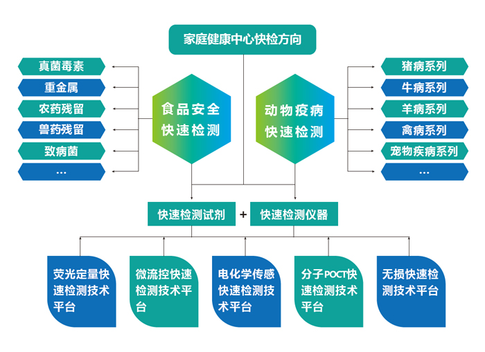 上海飛測研究領(lǐng)域與方向